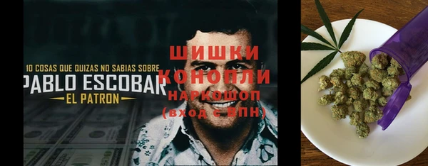 экстази Арсеньев