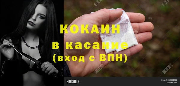 прущие крисы Балахна