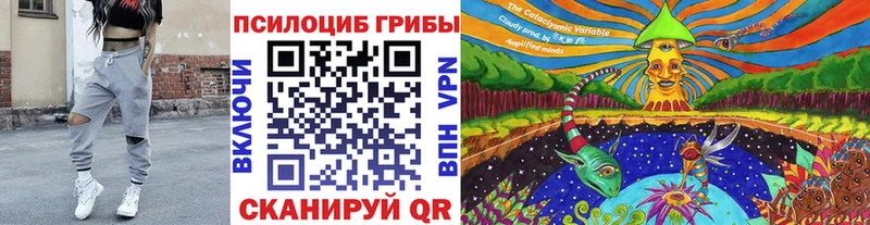 Галлюциногенные грибы мицелий  продажа наркотиков  Спас-Деменск 